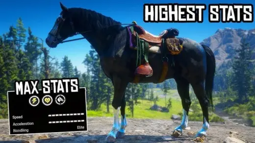 Perfect Horse