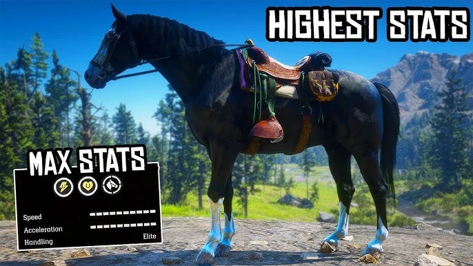 Perfect Horse