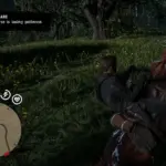 RDR2 Care Assistant4