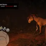 RDR2 Care Assistant5
