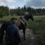 RDR2 Care Overhaul - Horse Care Beta2