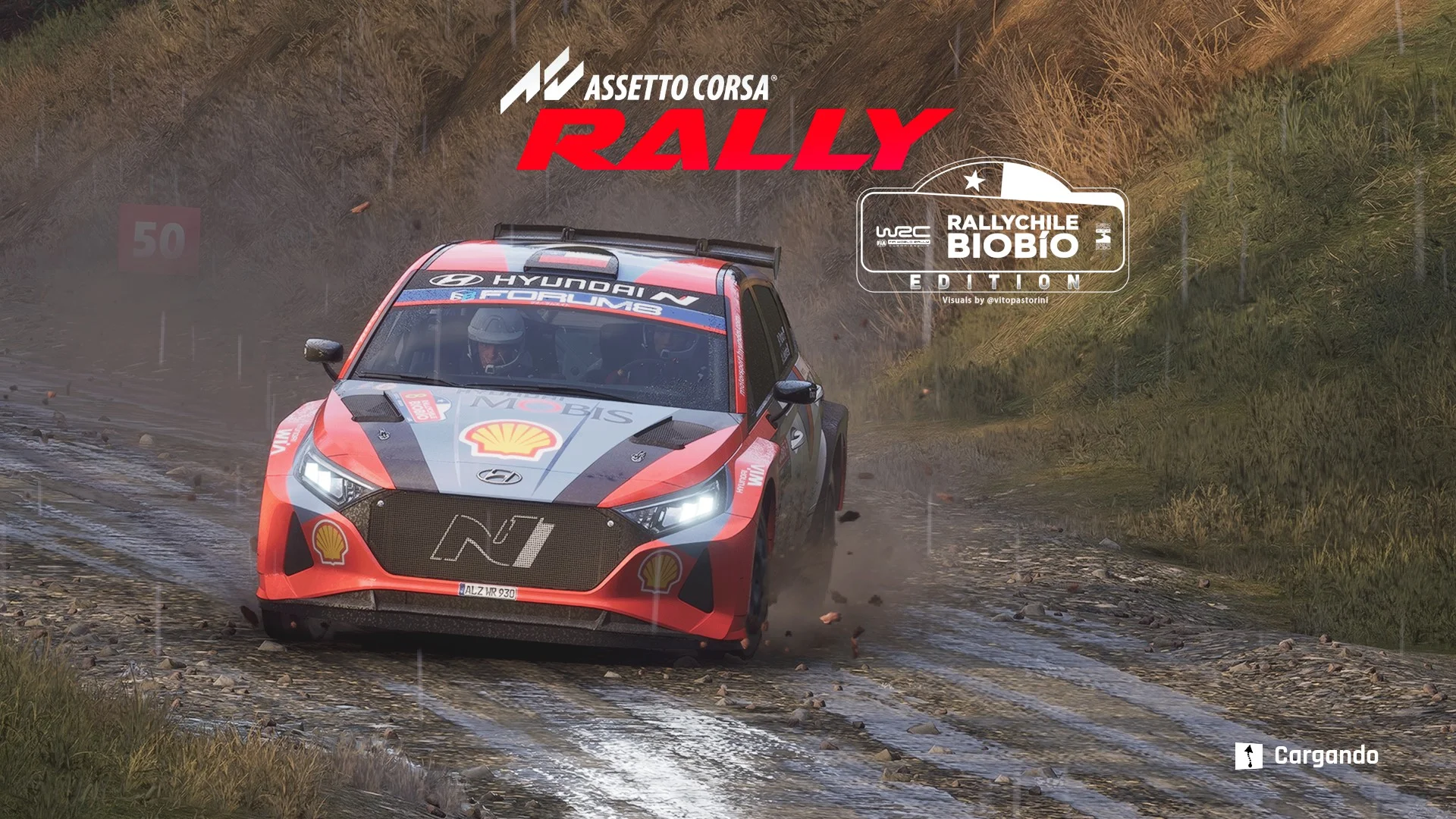 Rally Chile