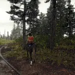 Realistic HDR West Preset5