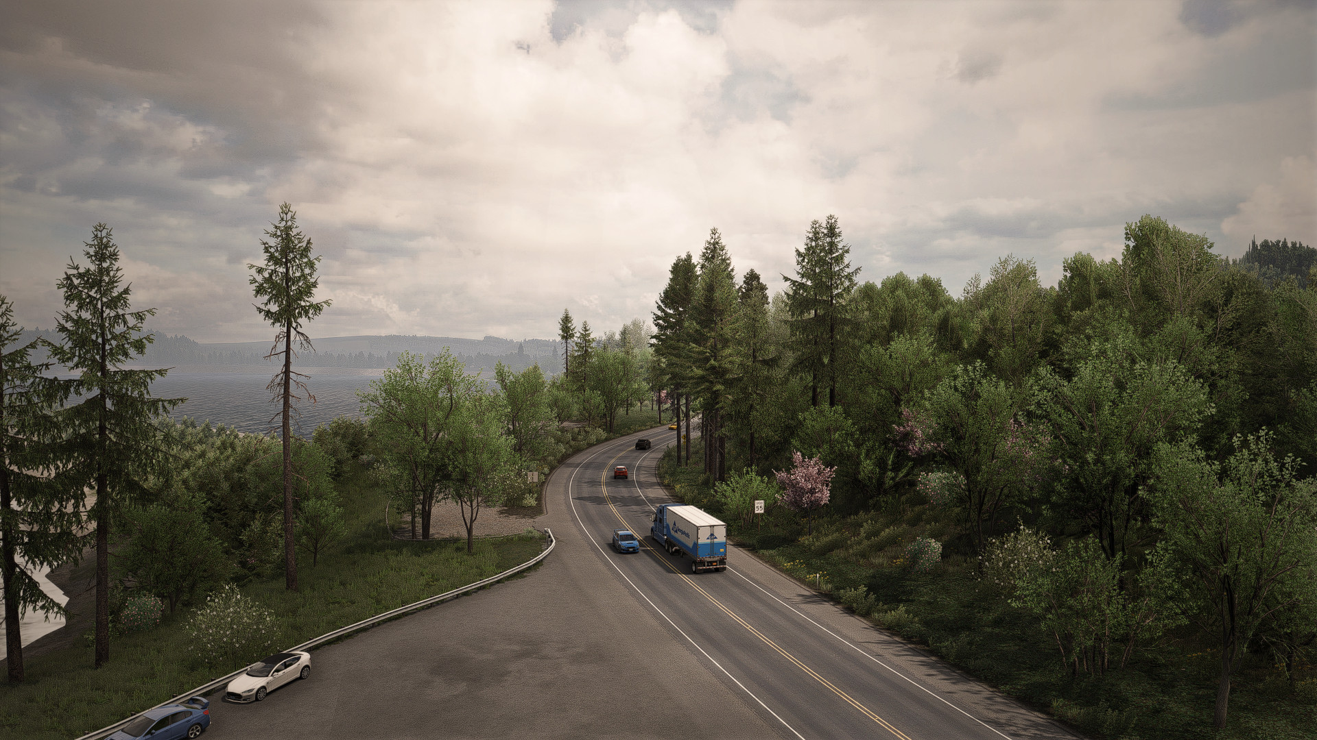 TrueSight Preset Free 1.0