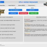 Audio Manager