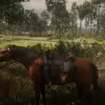 Better Saddle Holster