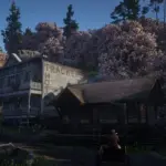 Cherry Blossoms in Strawberry3