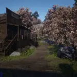 Cherry Blossoms in Strawberry4