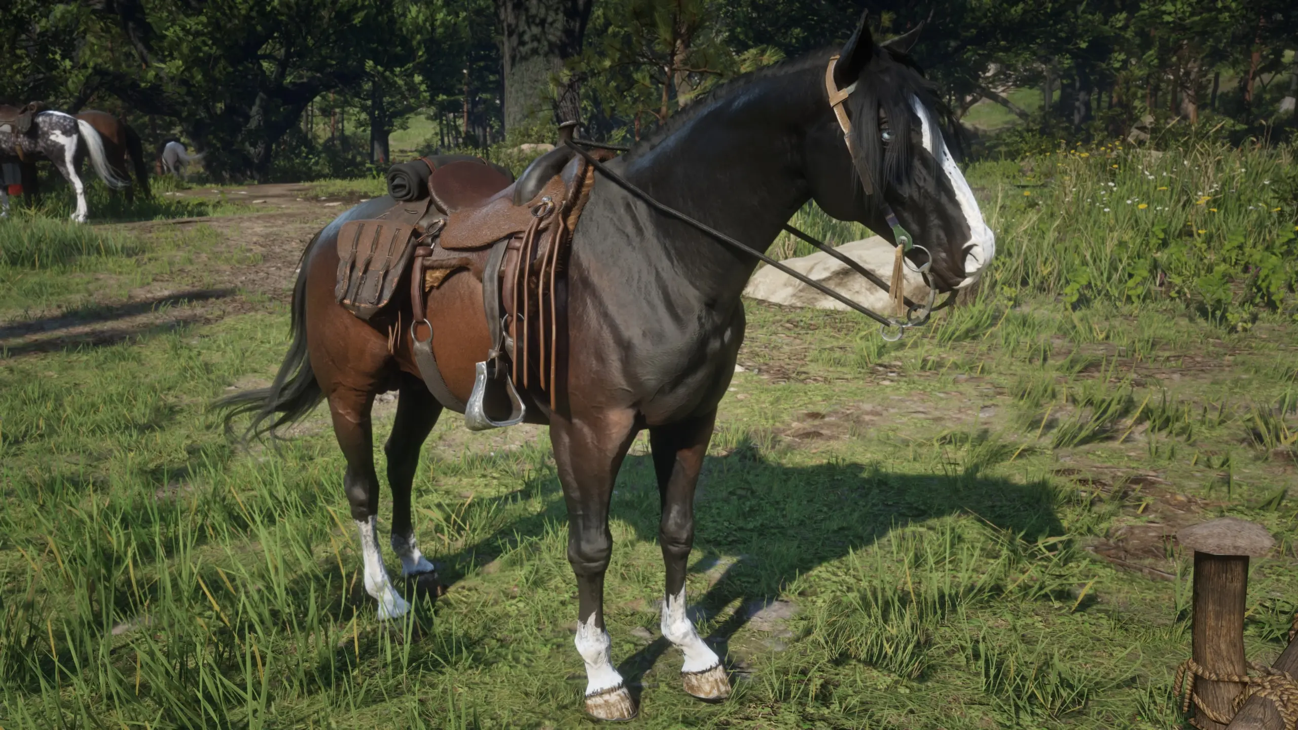 Dark Bay Horse with Blaze and 4 White Socks