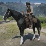 Dark Bay Horse with Blaze and 4 White Socks6