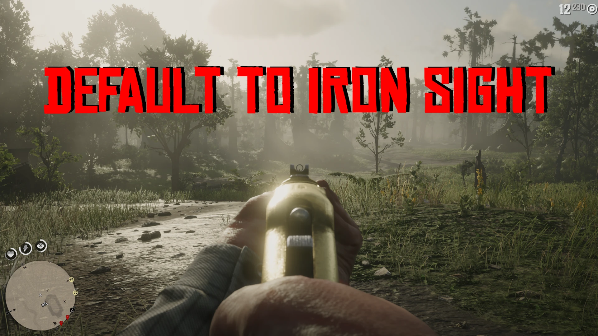 Default to Iron Sight
