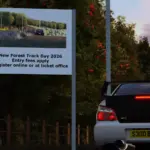 New Forest7
