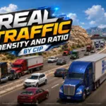 Real Traffic Density and Ratio