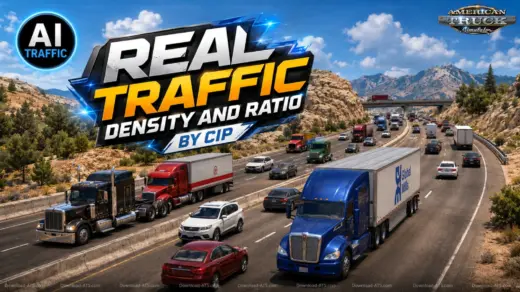 Real Traffic Density and Ratio