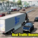 Real Traffic Density and Ratio2