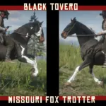 The East's STALLIONS vo.1 - Custom horse coats