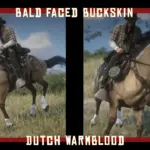 The East's STALLIONS vo.1 - Custom horse coats