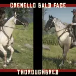 The East's STALLIONS vo.1 - Custom horse coats