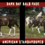 The East's STALLIONS vo.1 - Custom horse coats