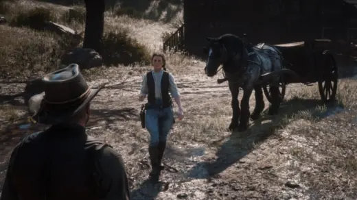 SUHM - Cowgirls Revisioned - Ambient Lawman Riders