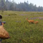The Spotted Deer2