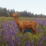 The Spotted Deer5