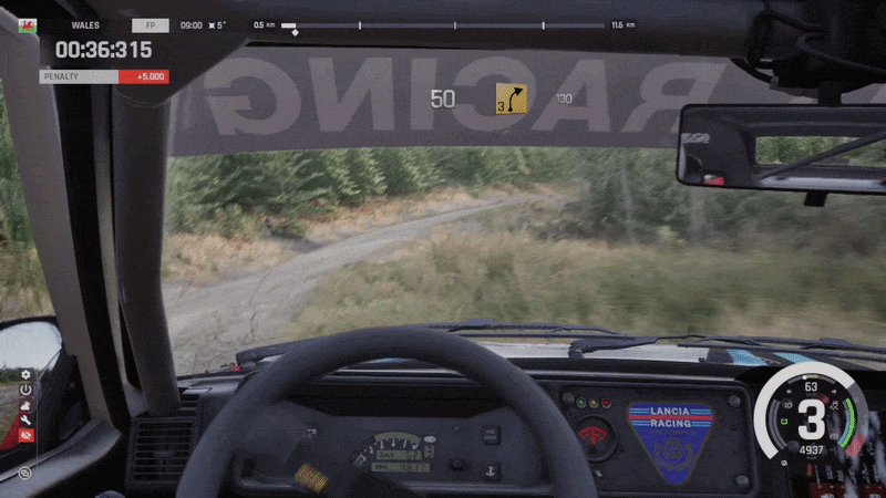Assetto Corsa Rally Head Tracking