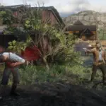 Authentic Wound Reaction Physics
