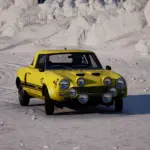 Fiat Abarth 124 - Special Stripe Liveries7