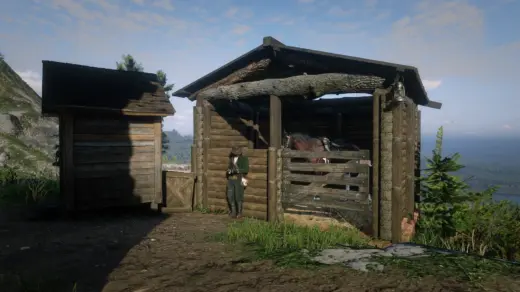 Horse Shelter4