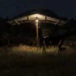 Horse Station2