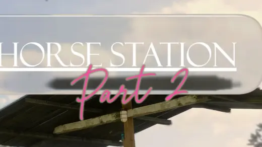 Horse Station7