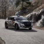 Peugeot 208 Rally 4