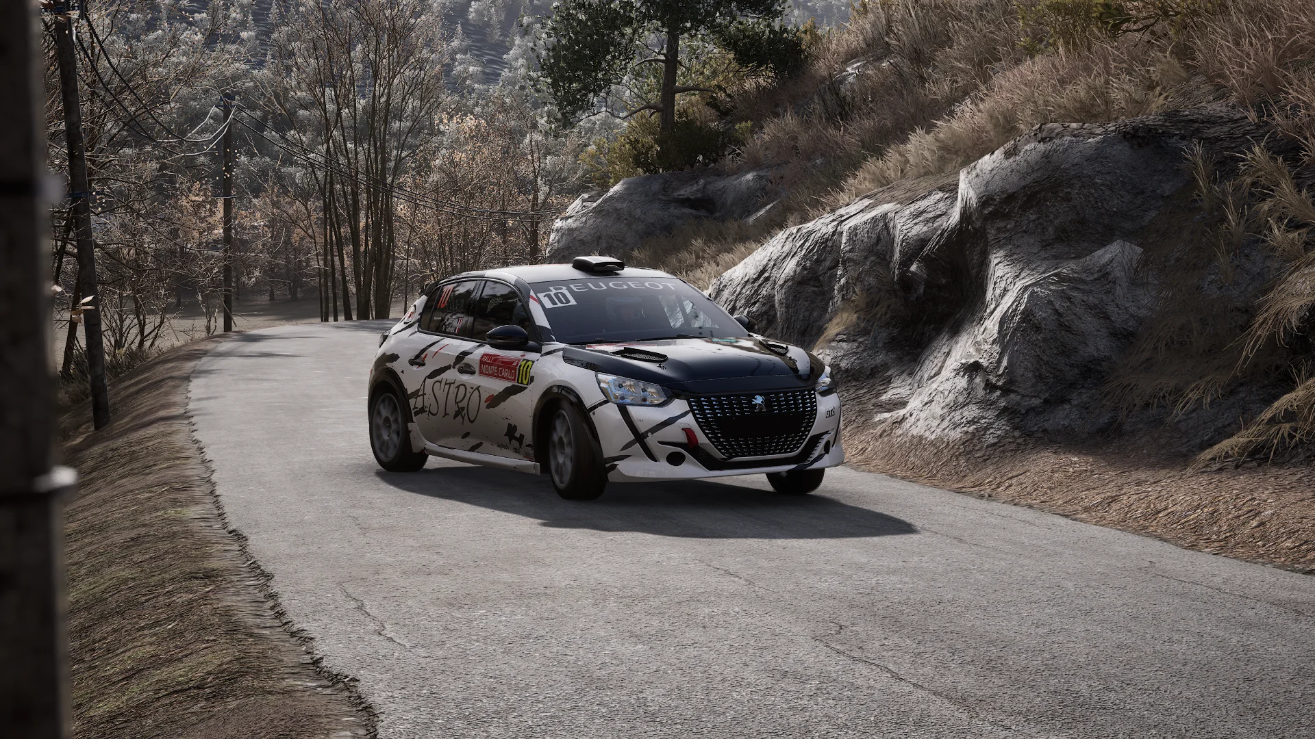 Peugeot 208 Rally 4