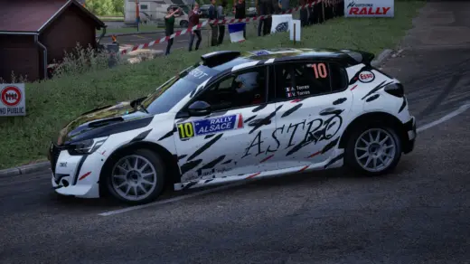 Peugeot 208 Rally 43
