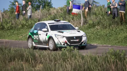 Peugeot 208 Rally4
