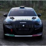 Peugeot 208 Rally4 Mattia Zanin5