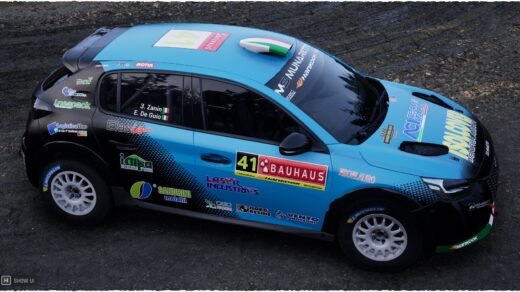 Peugeot 208 Rally4 Mattia Zanin6