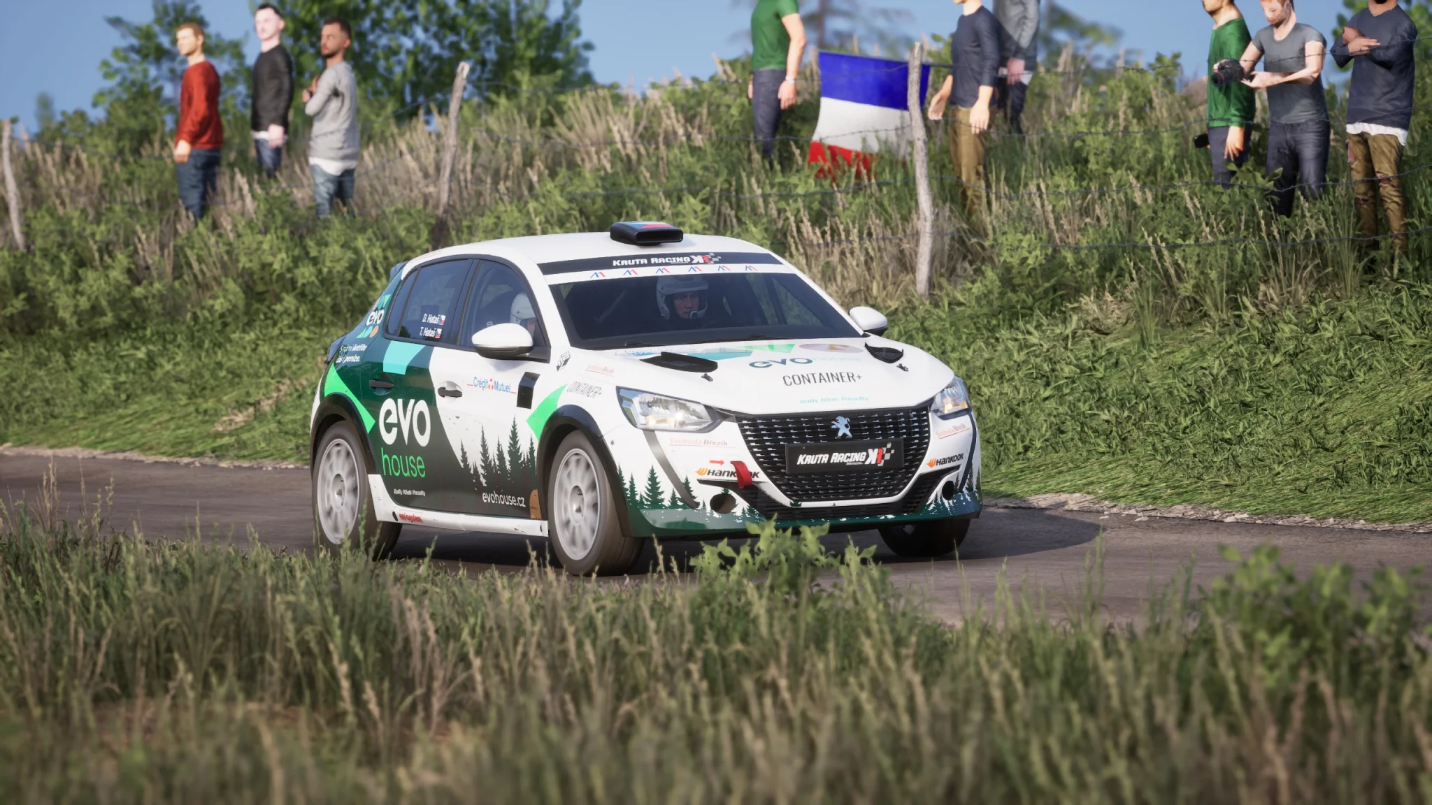Peugeot 208 Rally4
