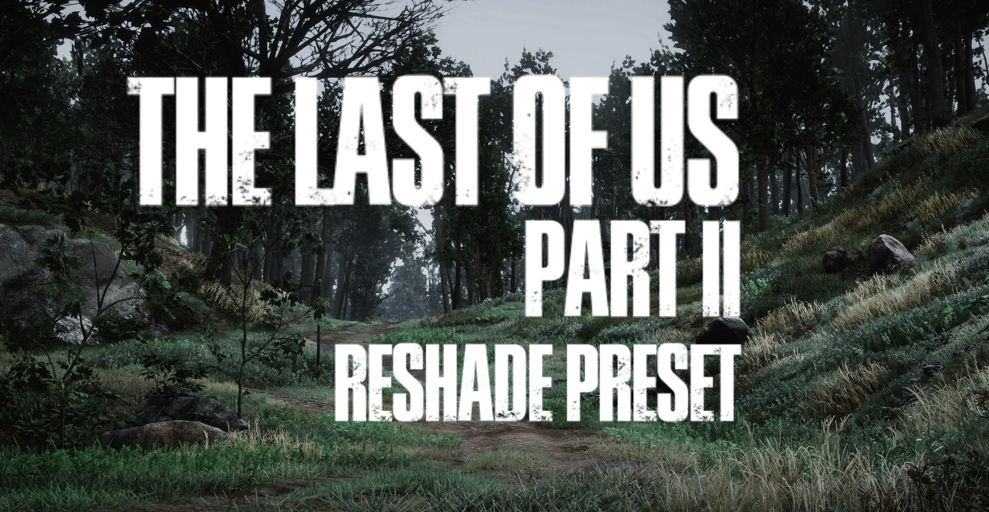 The Last Of Us Part II Reshade