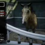 Unlock Horses Early3