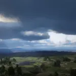 Vivid Weathers2