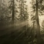 Vivid Weathers4