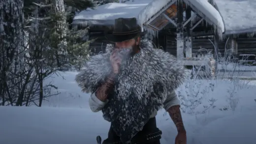 Forester Poncho