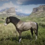 Frontier Horse Mod3