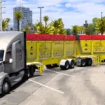 Gondolas Mexicana Custom Trailer2