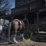 Horse Variety5