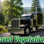 Improved Vegetation LOD