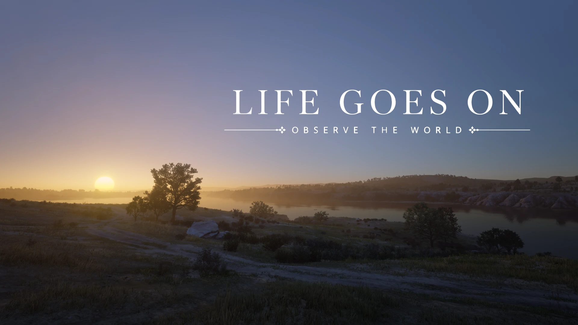 Life Goes On