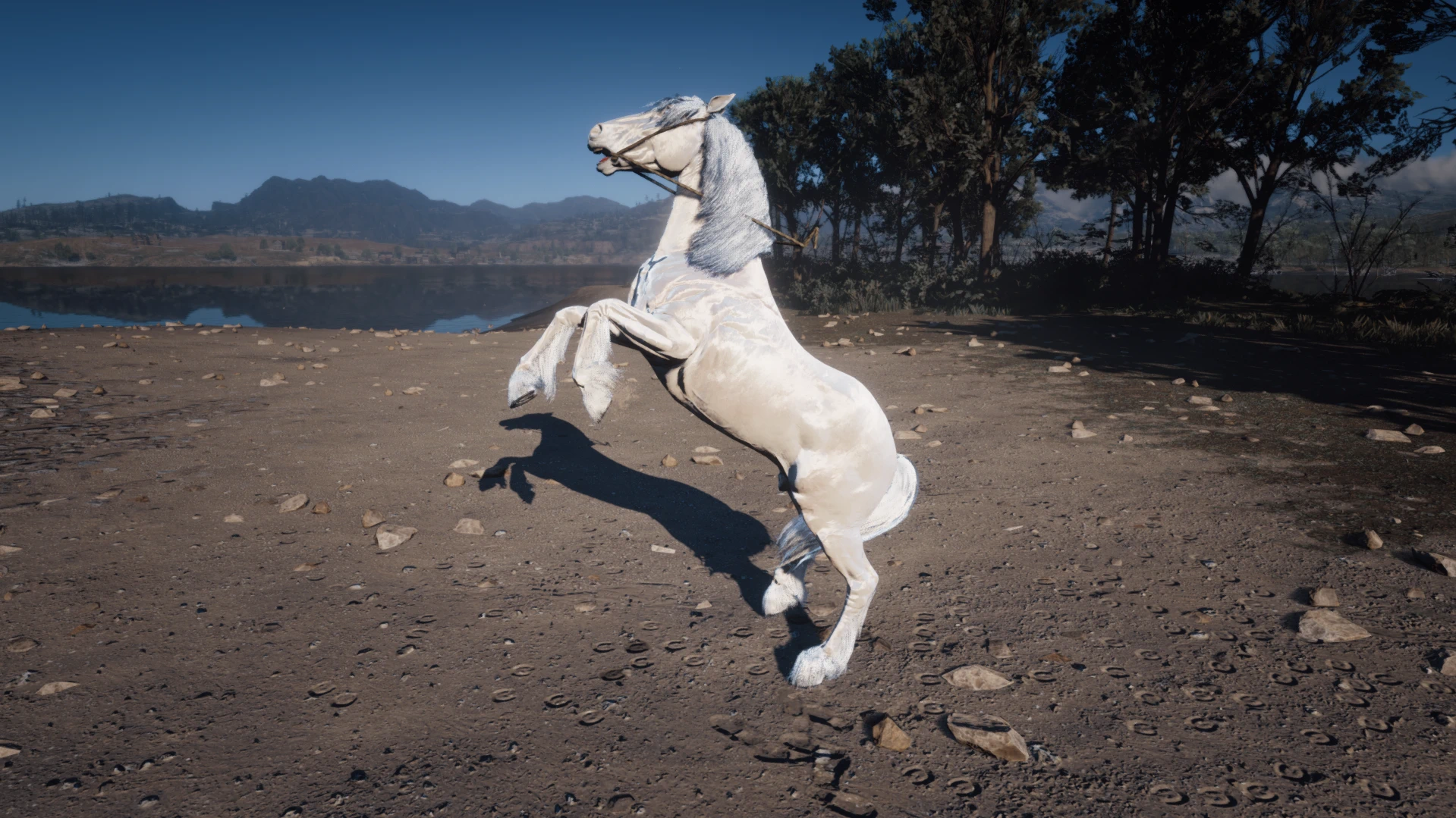 Majestic White Horse Coat
